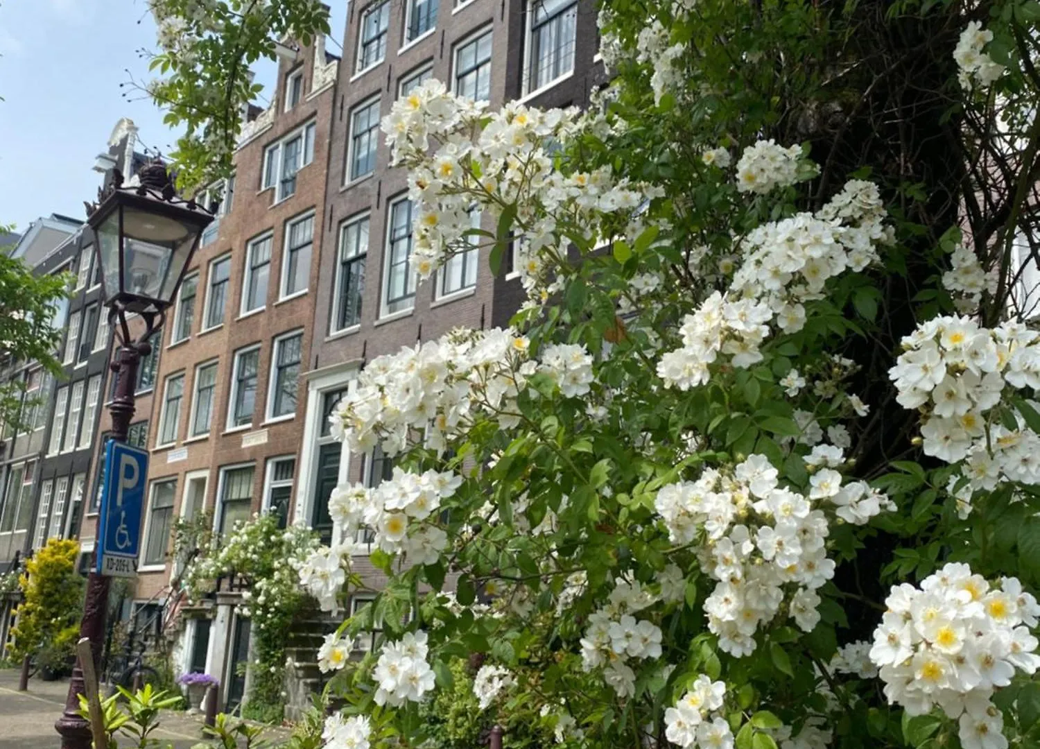 Holiday home Large En-Suite Room In Historic Canalhouse From 1729 Amsterdam